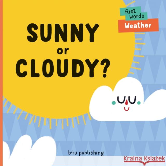 Sunny or Cloudy?  9788000061368 Albatros Media