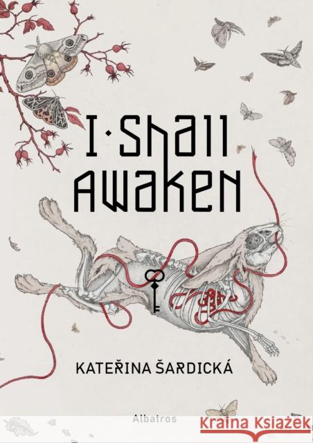 I Shall Awaken Sardicka, Katerina 9788000063478