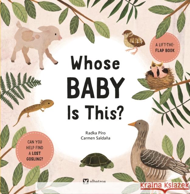 Whose Baby Is This? Radka Piro 9788000074429