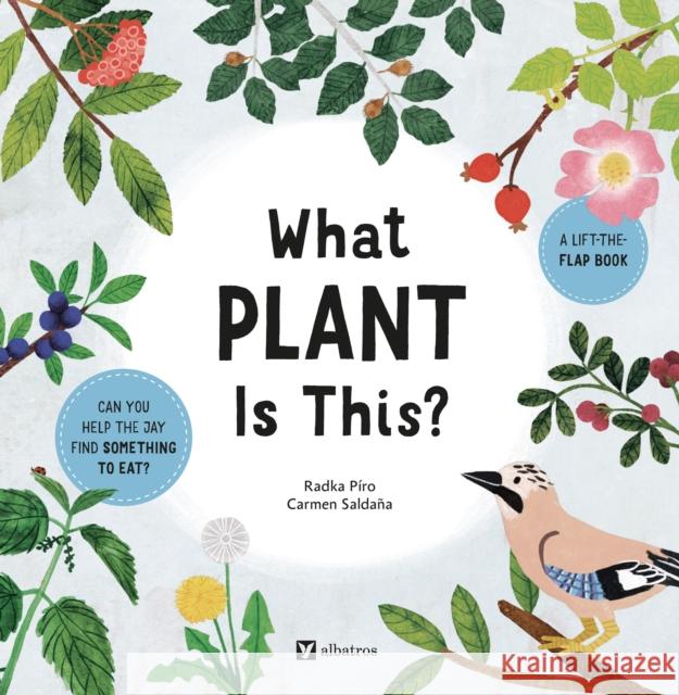 What Plant Is This? Radka Piro 9788000074436