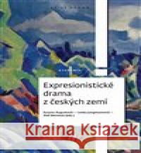 Expresionistické drama z českých zemí Aleš Merenus 9788020031624