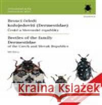 Brouci čeledi kožojedovití 2. doplněné vydání Jiří Háva 9788020032416 Academia