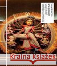 Dévímáhátmja: Oslava bohyně Zdeněk Štipl 9788020034267 Academia