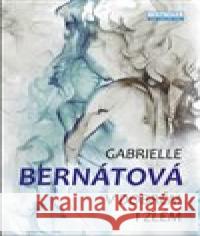 V dobrém i zlém Gabrielle Bernátová 9788020617385 Naše vojsko