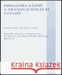 Obhajoba zájmů a transnacionální vztahy Petr Fiala 9788021035195 Mezinárodní politologický ústav Masarykovy un