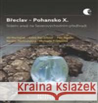 Břeclav – Pohansko X. Renáta Přichystalová 9788021098923