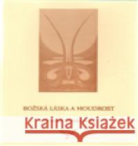 Božská Láska a Moudrost Emanuel Swedenborg 9788023950069 Máchová Lenka