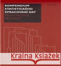 Kompendium statistického zpracování dat JiÅ™Ã­ MilitkÃ½ 9788024621968 Karolinum