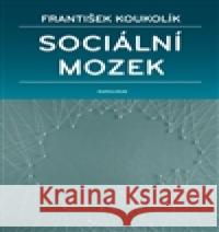 Sociální mozek František Koukolík 9788024628509
