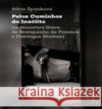 Pelos Caminhos do Insólito. Na Narrativa Breve de Branquinho da Fonseca e Domingos Monteiro Silvie Štěpánková 9788024643892 Karolinum