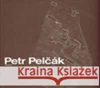 Petr Pelčák Architekt Judit Solt 9788025437926