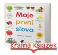 Moje první slova Melanie Hibbert 9788025511558