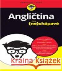 Angličtina pro nechápavé Gail Brenner 9788025623978