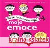 Moje emoce Virginie Limousin 9788025625163