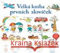 Velká kniha prvních slovíček Mairi Mackinnon 9788025625675