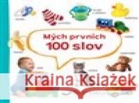 Mých prvních 100 slov  9788025626900 Svojtka & Co.