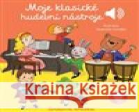 Moje klasické hudební nástroje Séverine Cordier 9788025626955