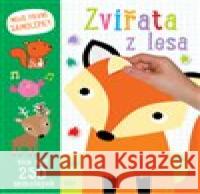 Zvířata z lesa - Moje první samolepky  9788025627549 Svojtka & Co.