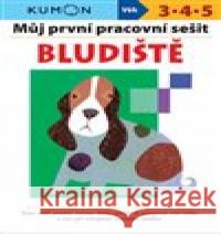 Můj první pracovní sešit - Bludište Yoshiko Murakami 9788025627570 Svojtka & Co.