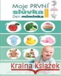 Moje první slůvka - Den miminka  9788025628089 Svojtka & Co.
