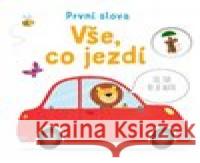 Vše, co jezdí - První slova Tony Neal 9788025630747