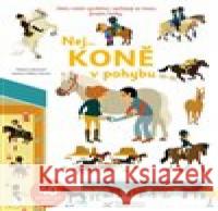 Nej... KONĚ v pohybu Héléne Convert 9788025630945
