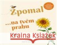 Zpomal ...na tvém prahu Freya Hartas 9788025631508