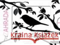 Krásné barvy - Zahrada Amandine Laprun 9788025631737