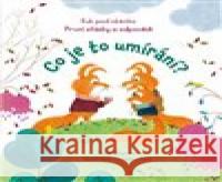 Co je to umírání? - Kuk pod okénko Christine Pym 9788025631799