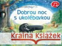 Dobrou noc s ukolébavkou Polly Noakes 9788025632260