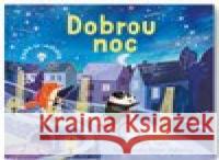 Dobrou noc - kniha se světélky Róisín Hahessy 9788025632376