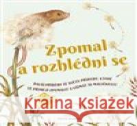 Zpomal a rozhlédni se Freya Hartas 9788025632482