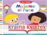 Velký pokrok - Myjeme si ruce Marie Kyprianou 9788025633595