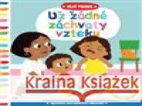 Velký pokrok - Už žádné záchvaty vzteku Marie Kyprianou 9788025633618