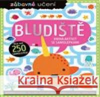 Zábavné učení Bludiště Stuart Lynch 9788025635841