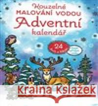 Kouzelné malování vodou Adventní kalendář Nilesh MIstry 9788025636121