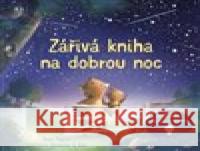 Zářivá kniha na dobrou noc Jennifer A. Bell 9788025636329