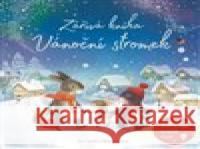 Zářivá kniha - Vánoční stromek Alisa Friend 9788025637180