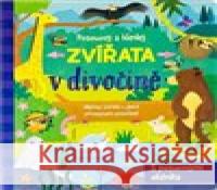 Posouvej a hledej - Zvířata v divočině Sarah Ward 9788025637975