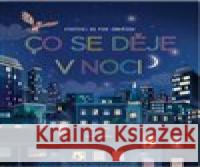 Podívej se pod obrázek - Co se děje v noci Brian Lambert 9788025639030