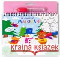 Mé kouzelné malování Zima  9788025639122 Svojtka & Co.