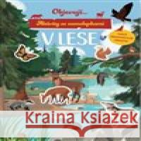 Objevuji... V lese  9788025639290 Svojtka & Co.