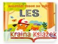 Malování vodou do tašky Les Samantha Meredith 9788025639313