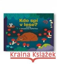 Kdo spí v lese? Kniha s kouzelnou baterkou  9788025640067 Svojtka & Co.