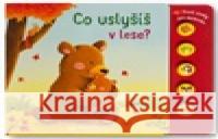 Co uslyšíš v lese? První zvuky pro miminko  9788025640142 Svojtka & Co.