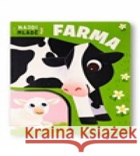 Najdi mládě Farma Mel Matthews 9788025640159