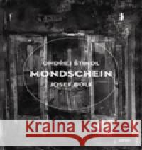 Mondschein OndÅ™ej Å tindl 9788025707456 Argo