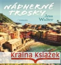 Nádherné trosky Jess Walter 9788025710920