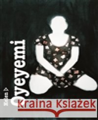 Dívka jménem Boy Helen Oyeyemi 9788025718742