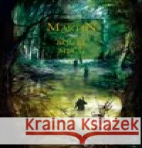 Bouře mečů George R.R. Martin 9788025724187